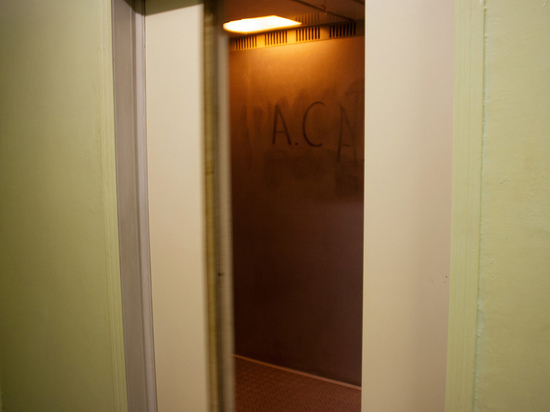 Эксперты по ЖКХ назвали способ отучить людей рисовать в лифтах
