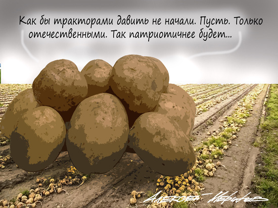 Фермеры начали продавать овощи россиянам на год вперед: так дешевле